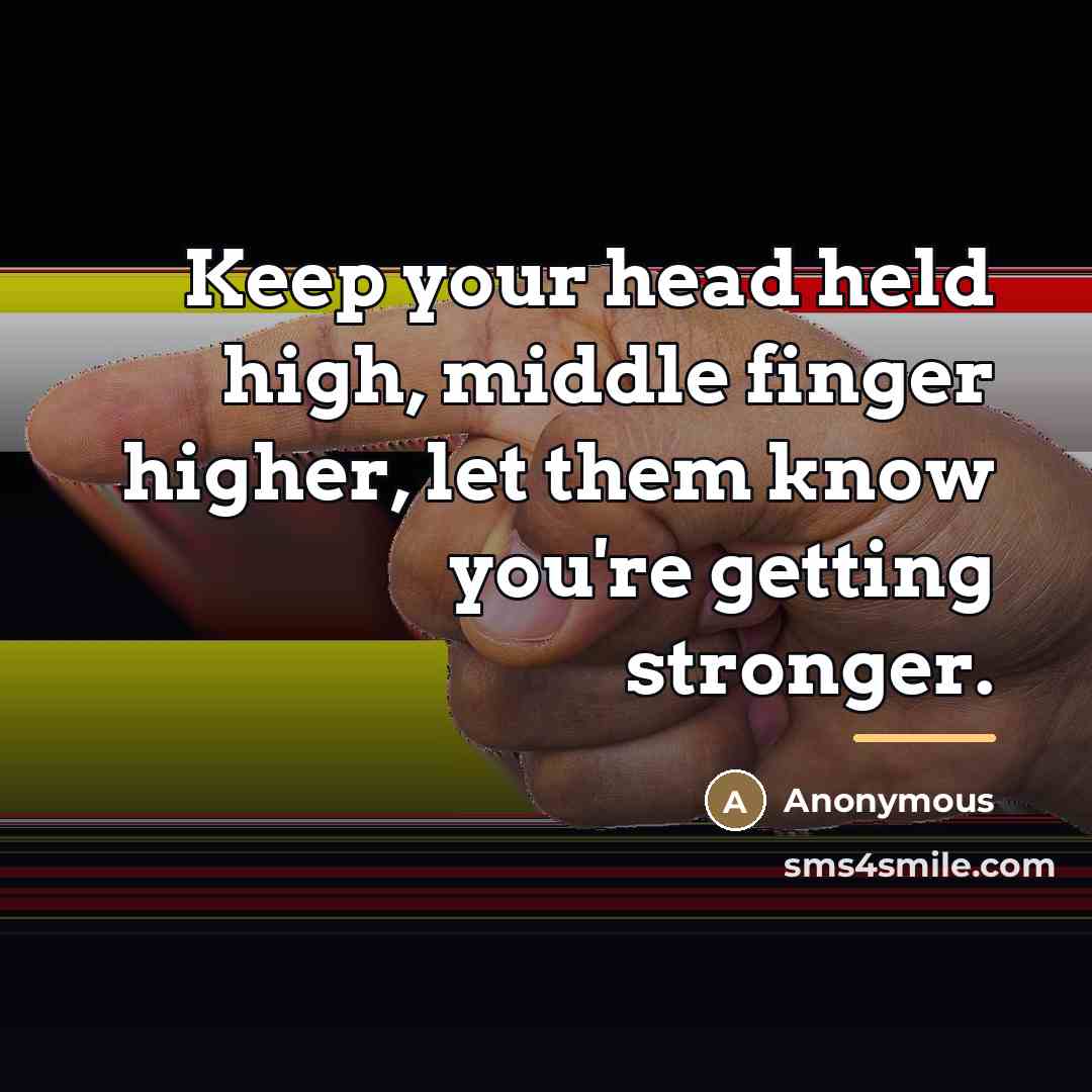 “Keep your head held high, middle finger higher, let them…” quote by Anonymous