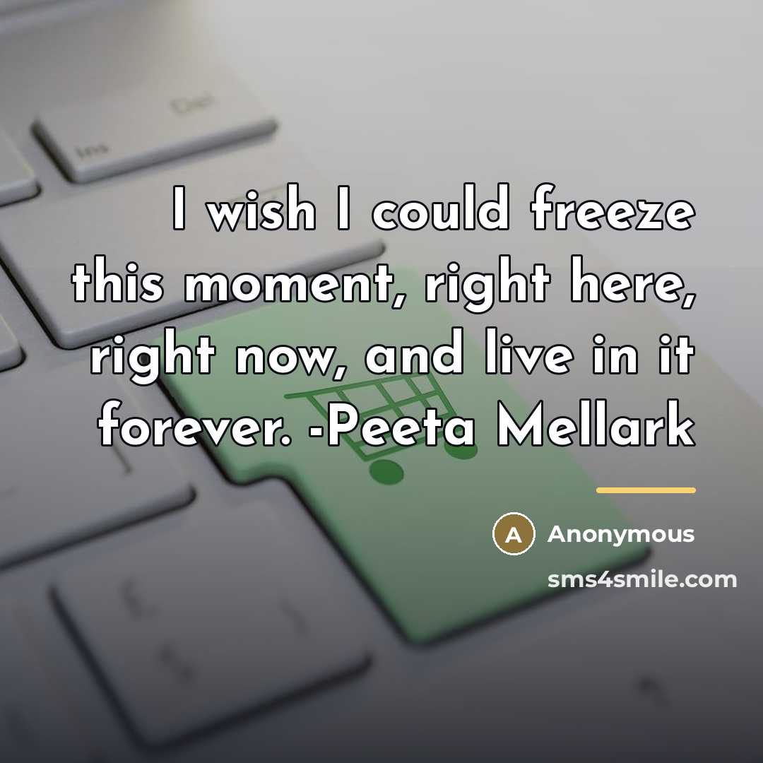 “I wish I could freeze this moment, right here, right…” quote by Anonymous