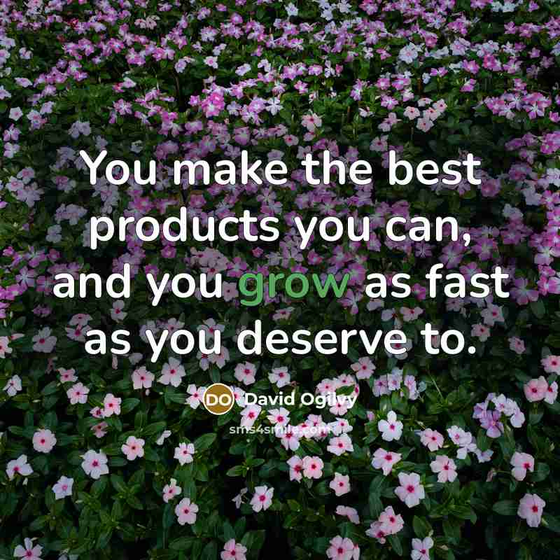 “You make the best products you can, and you grow…” quote by David Ogilvy