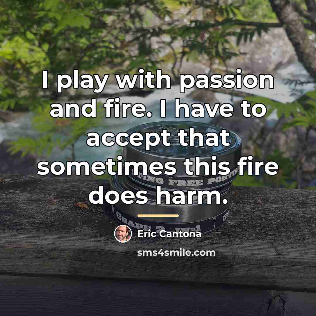 “I play with passion and fire. I have to accept…” quote by Eric Cantona