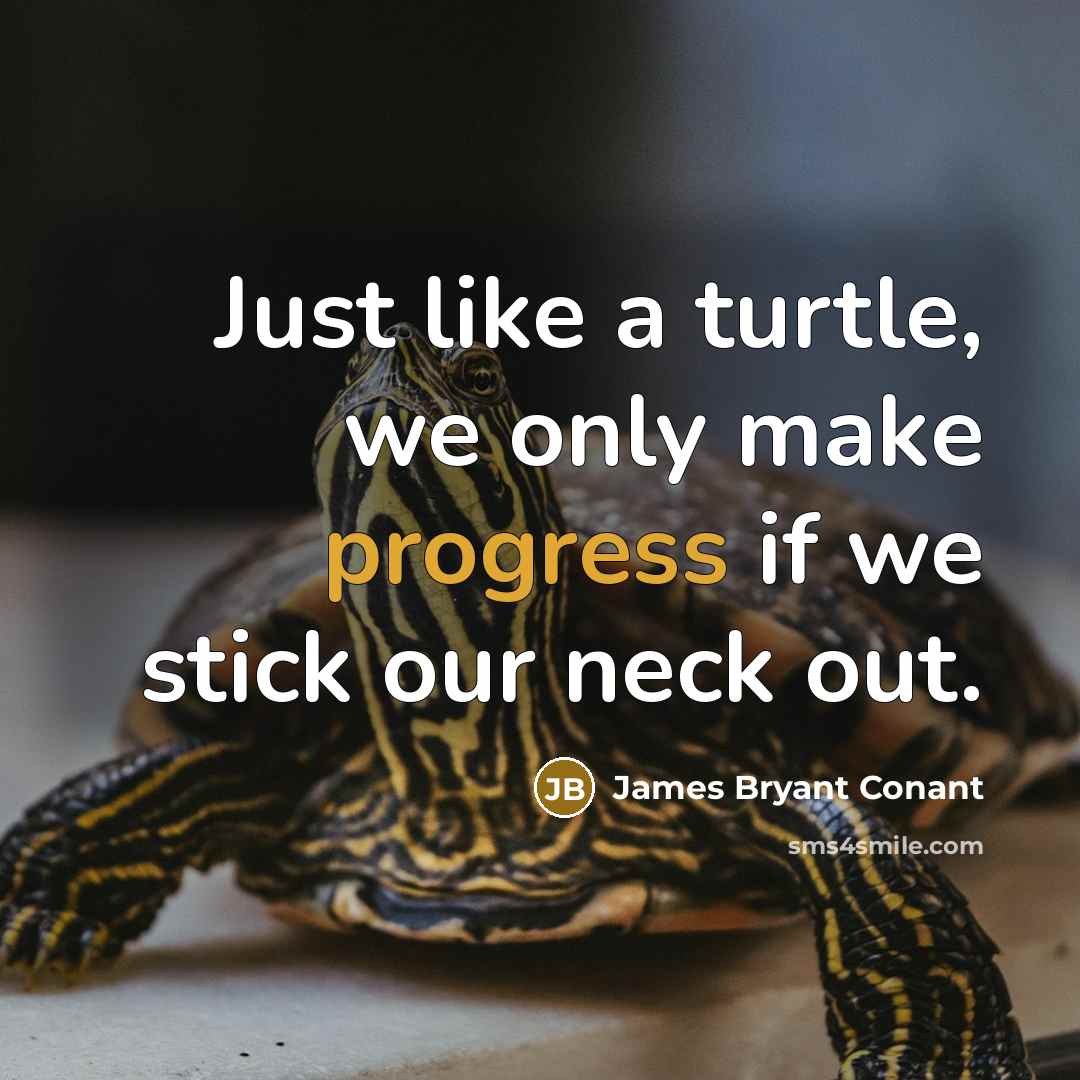 “Just like a turtle, we only make progress if we…” quote by James Bryant Conant