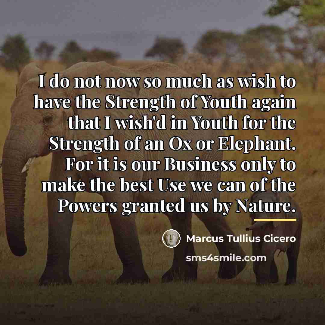 “I do not now so much as wish to have…” quote by Marcus Tullius Cicero