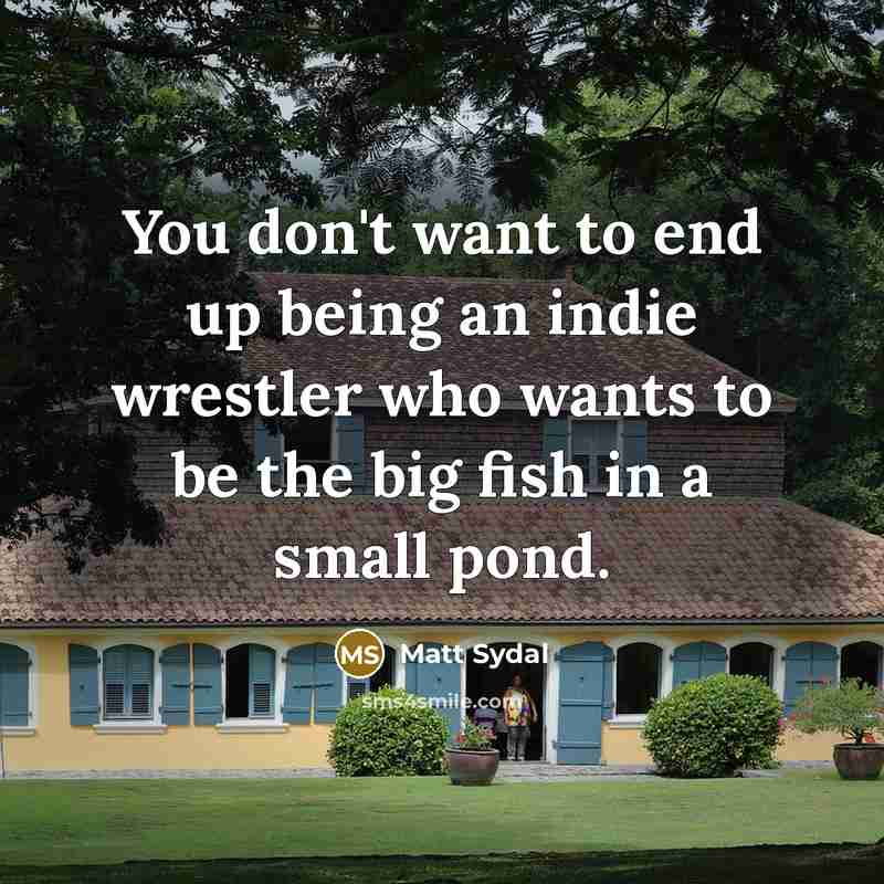 “You don't want to end up being an indie wrestler…” quote by Matt Sydal