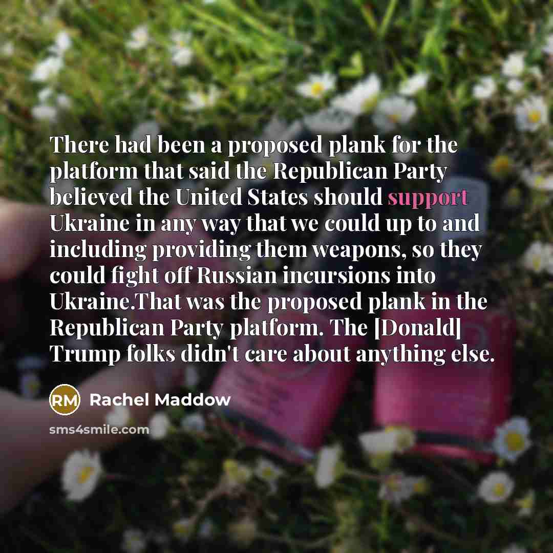 “There had been a proposed plank for the platform that…” quote by Rachel Maddow