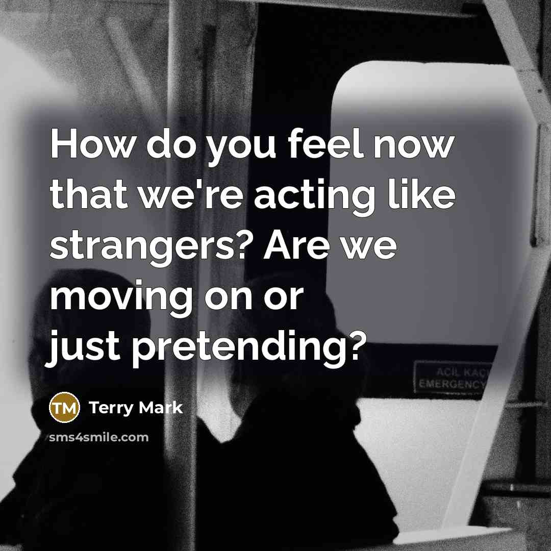 “How do you feel now that we're acting like strangers?…” quote by Terry Mark