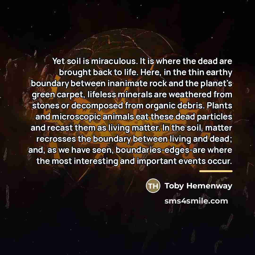 “Yet soil is miraculous. It is where the dead are…” quote by Toby Hemenway