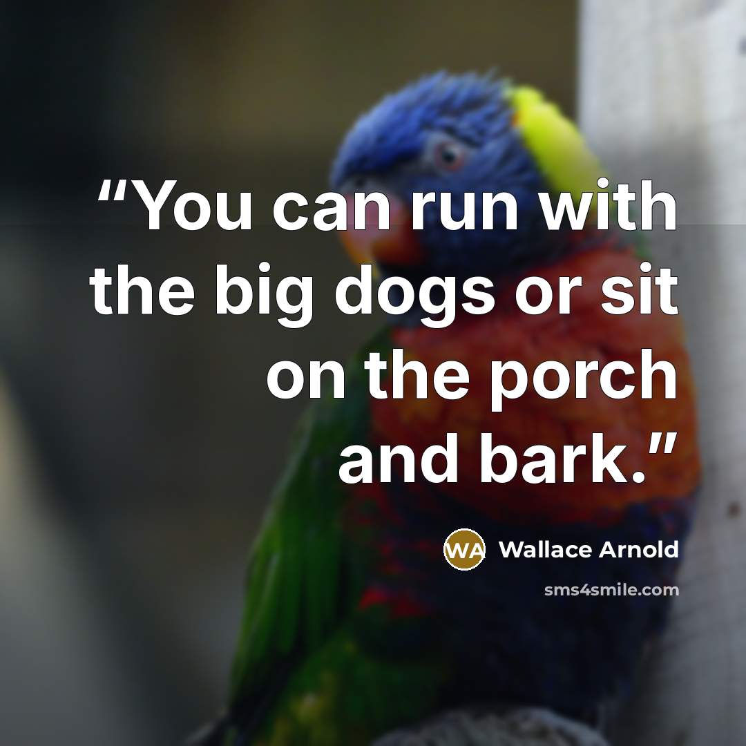 “You can run with the big dogs or sit on the porch and bark.” quote by Wallace Arnold