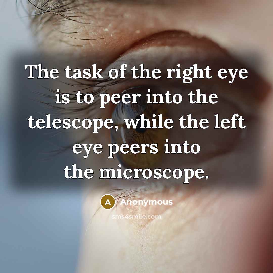 “The task of the right eye is to peer into…” quote by Anonymous