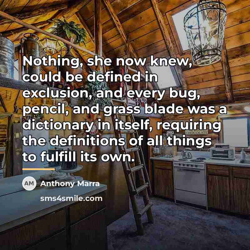 “Nothing, she now knew, could be defined in exclusion, and…” quote by Anthony Marra