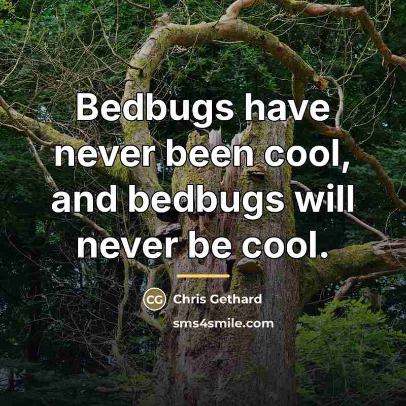 “Bedbugs have never been cool, and bedbugs will never be…” quote by Chris Gethard