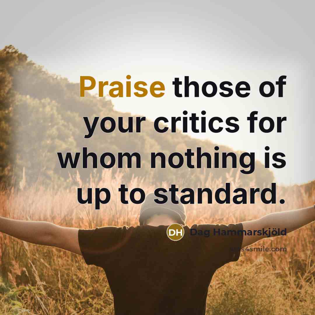 “Praise those of your critics for whom nothing is up to standard.” quote by Dag Hammarskjold