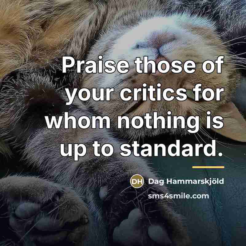 “Praise those of your critics for whom nothing is up…” quote by Dag Hammarskjold