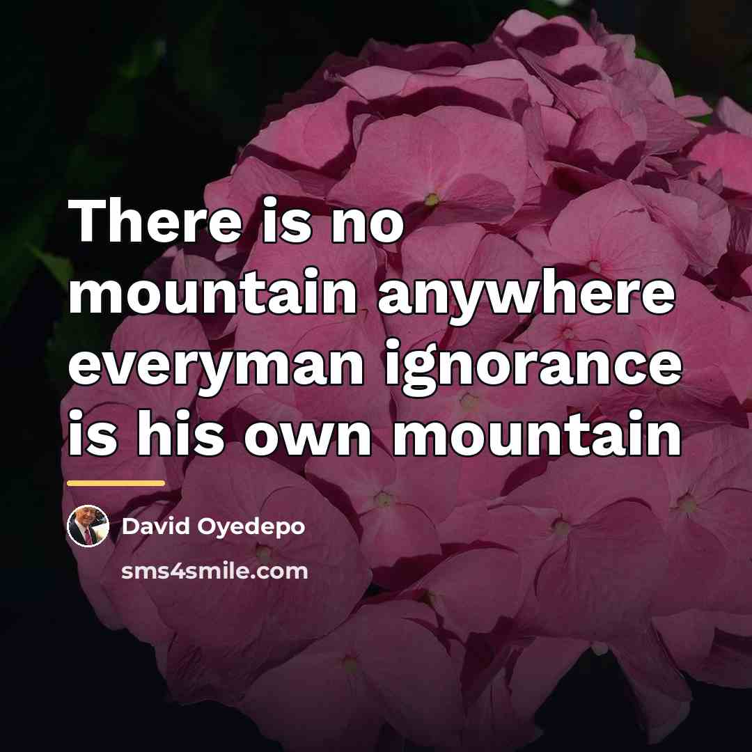 “There is no mountain anywhere everyman ignorance is his own…” quote by David Oyedepo