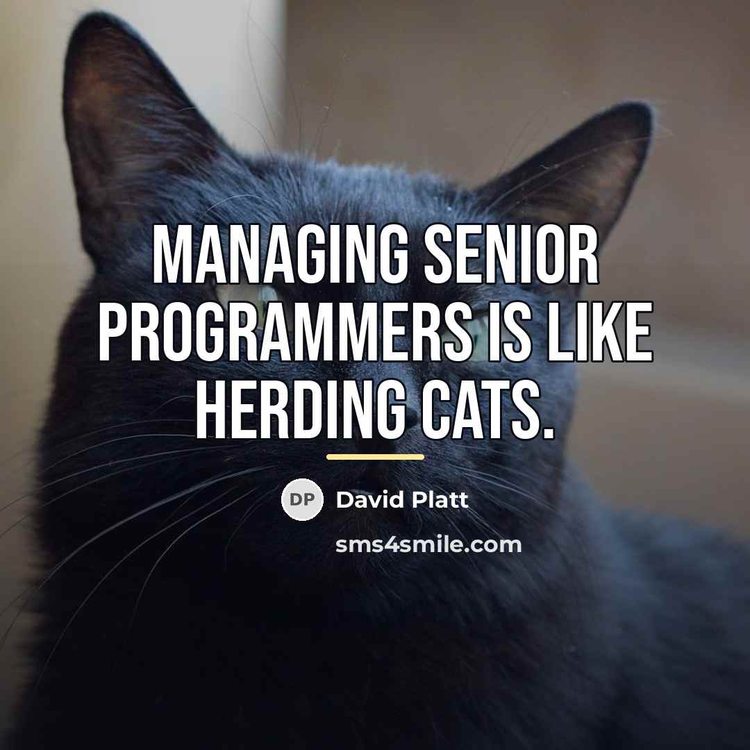 “Managing senior programmers is like herding cats.…” quote by David Platt