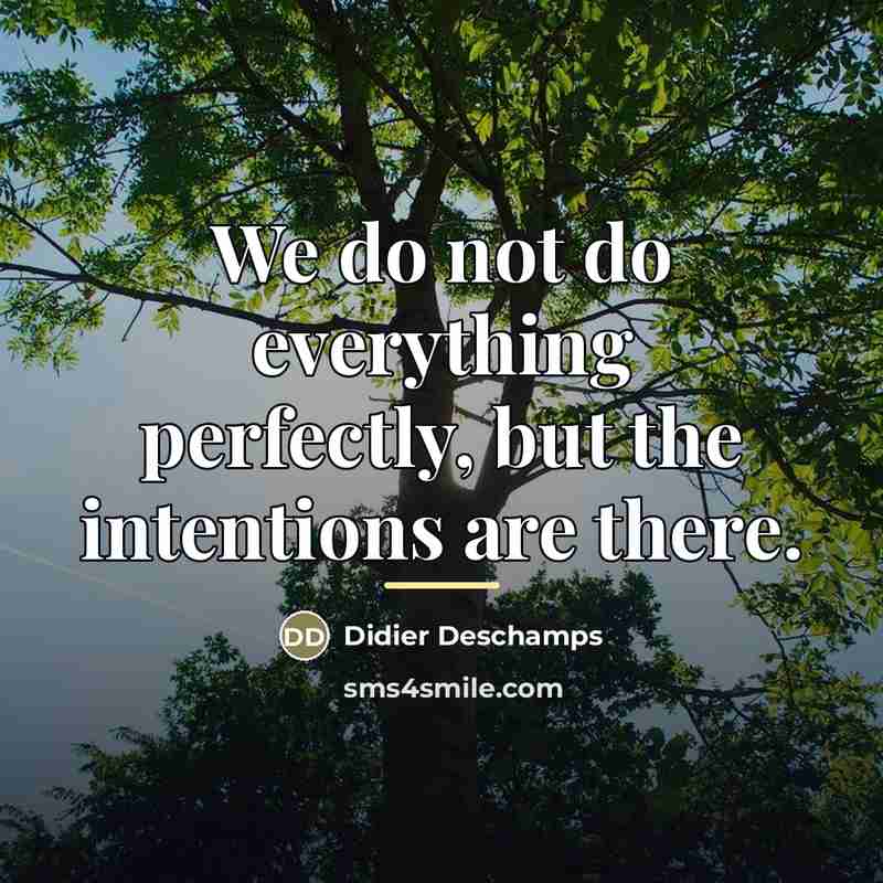 “We do not do everything perfectly, but the intentions are…” quote by Didier Deschamps