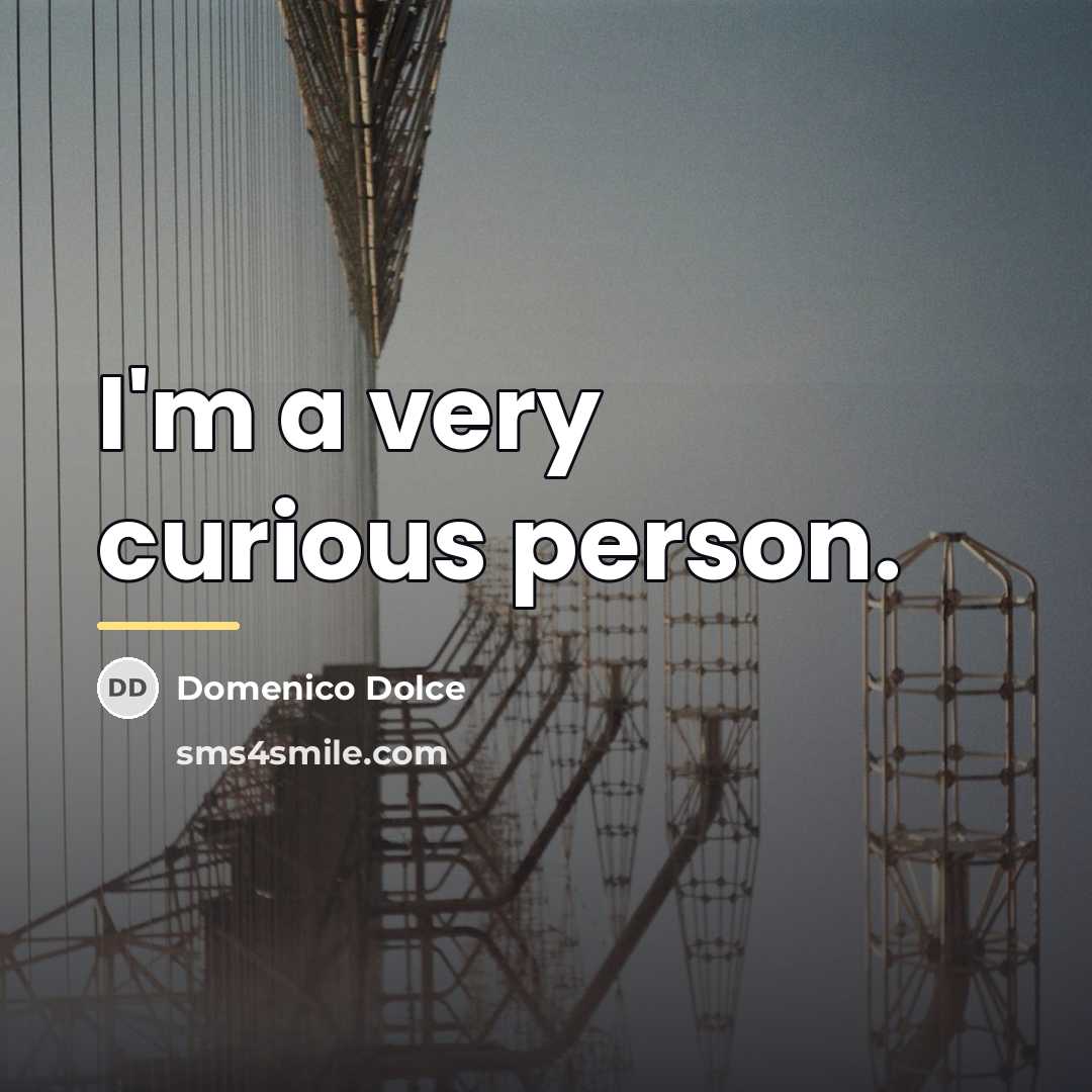“I'm a very curious person.…” quote by Domenico Dolce