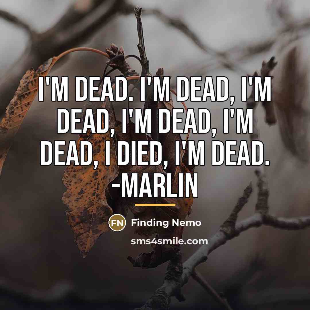“I'm dead. I'm dead, I'm dead, I'm dead, I'm dead,…” quote by Finding Nemo