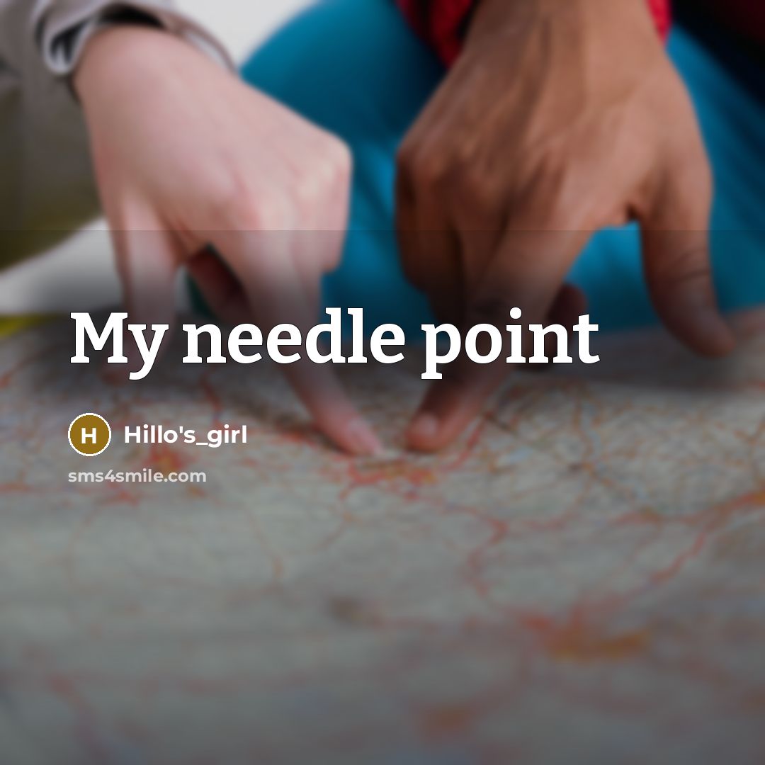 “My needle point…” quote by Hillo's_girl