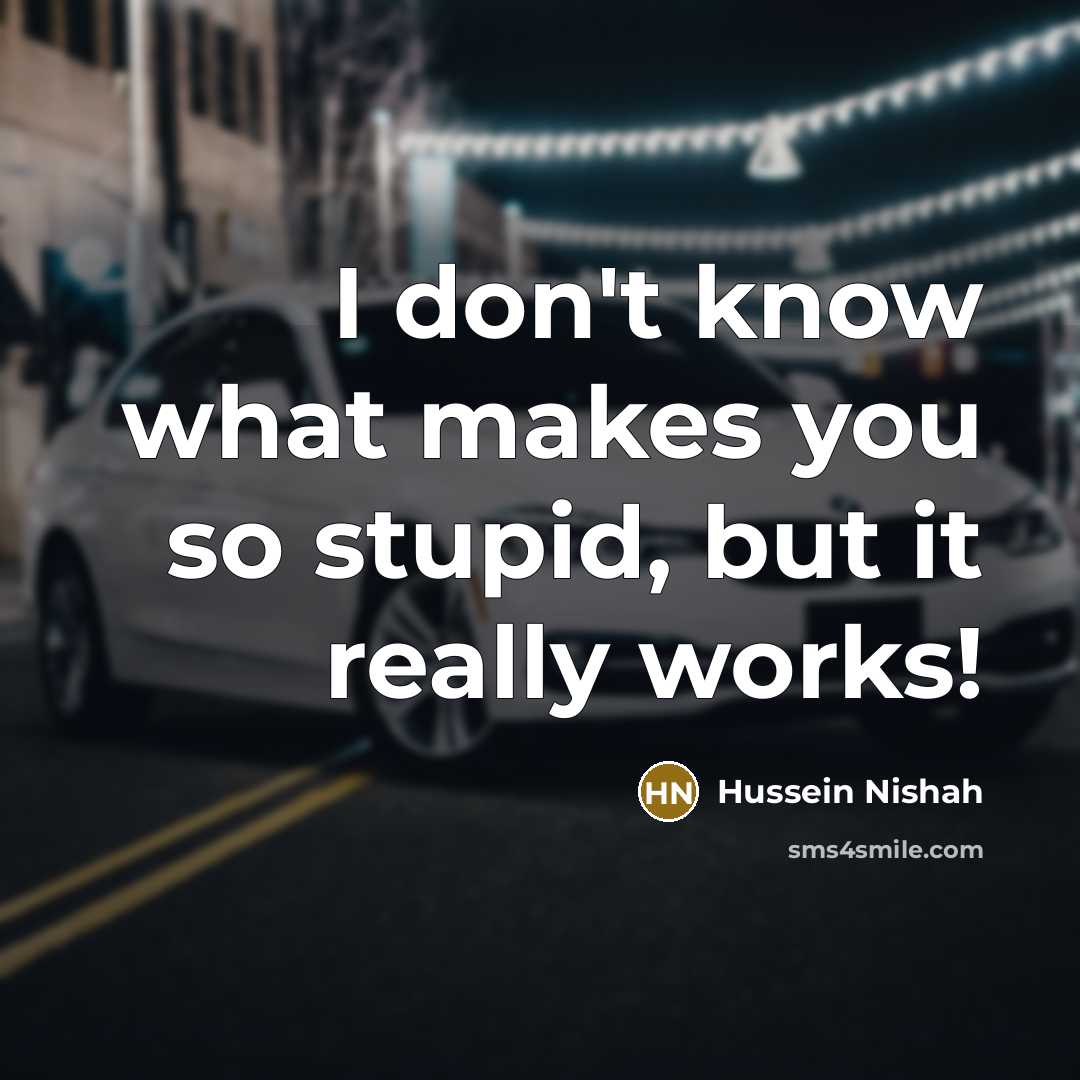 “I don't know what makes you so stupid, but it…” quote by Hussein Nishah