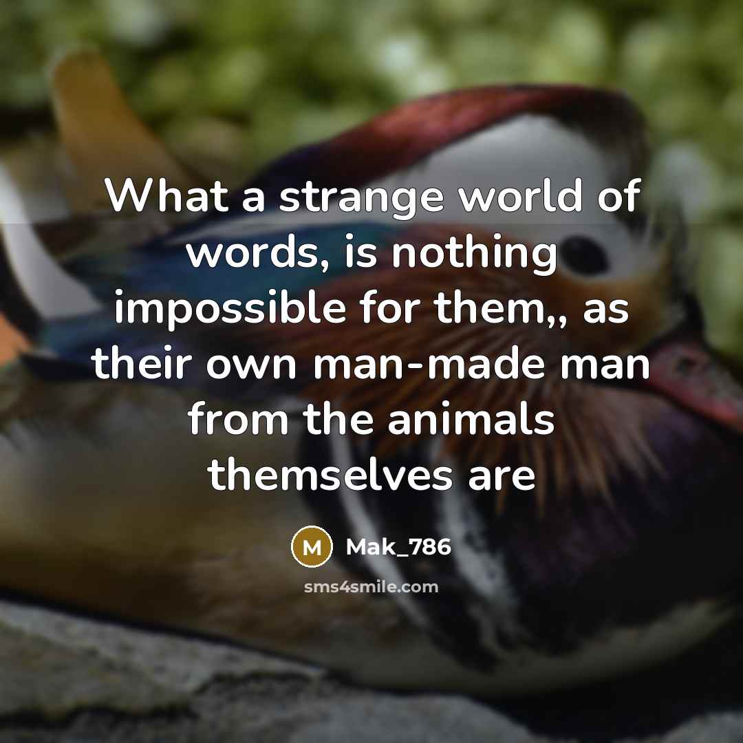 “What a strange world of words, is nothing impossible for…” quote by Mak_786