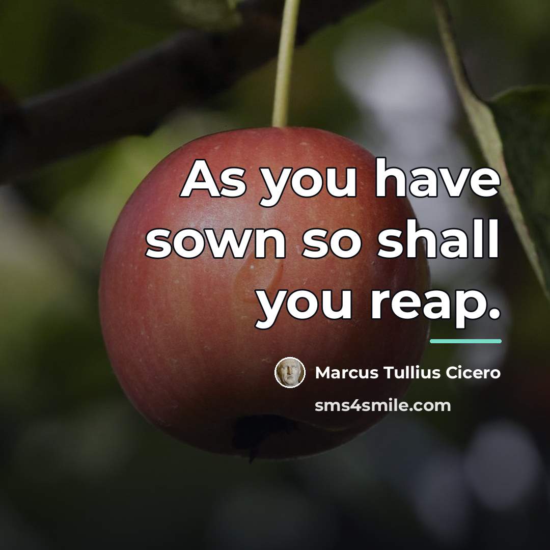 “As you have sown so shall you reap.…” quote by Marcus Tullius Cicero