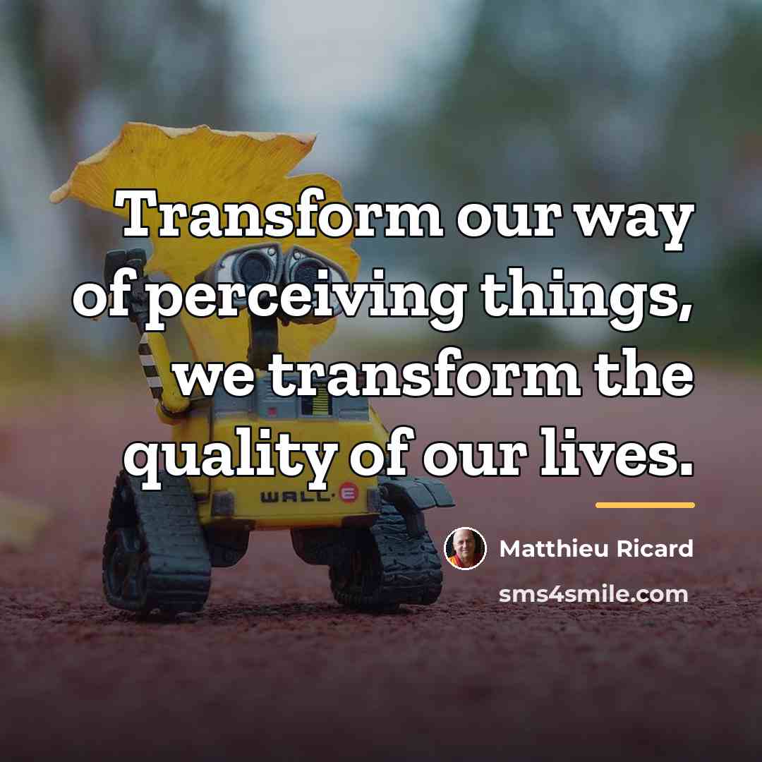 “Transform our way of perceiving things, we transform the quality…” quote by Matthieu Ricard