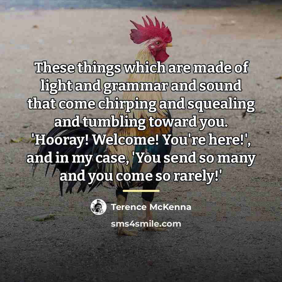 “These things which are made of light and grammar and…” quote by Terence McKenna
