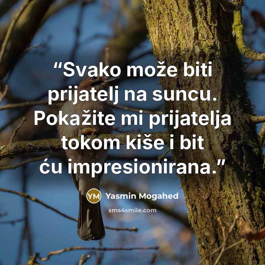 “Svako može biti prijatelj na suncu. Pokažite mi prijatelja tokom kiše i bit ću impresionirana.” quote by Yasmin Mogahed