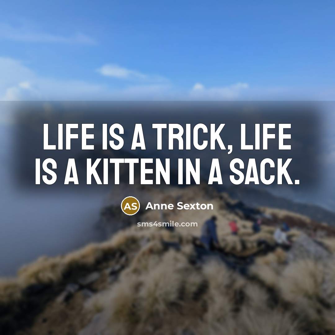 “life is a trick, life is a kitten in a…” quote by Anne Sexton