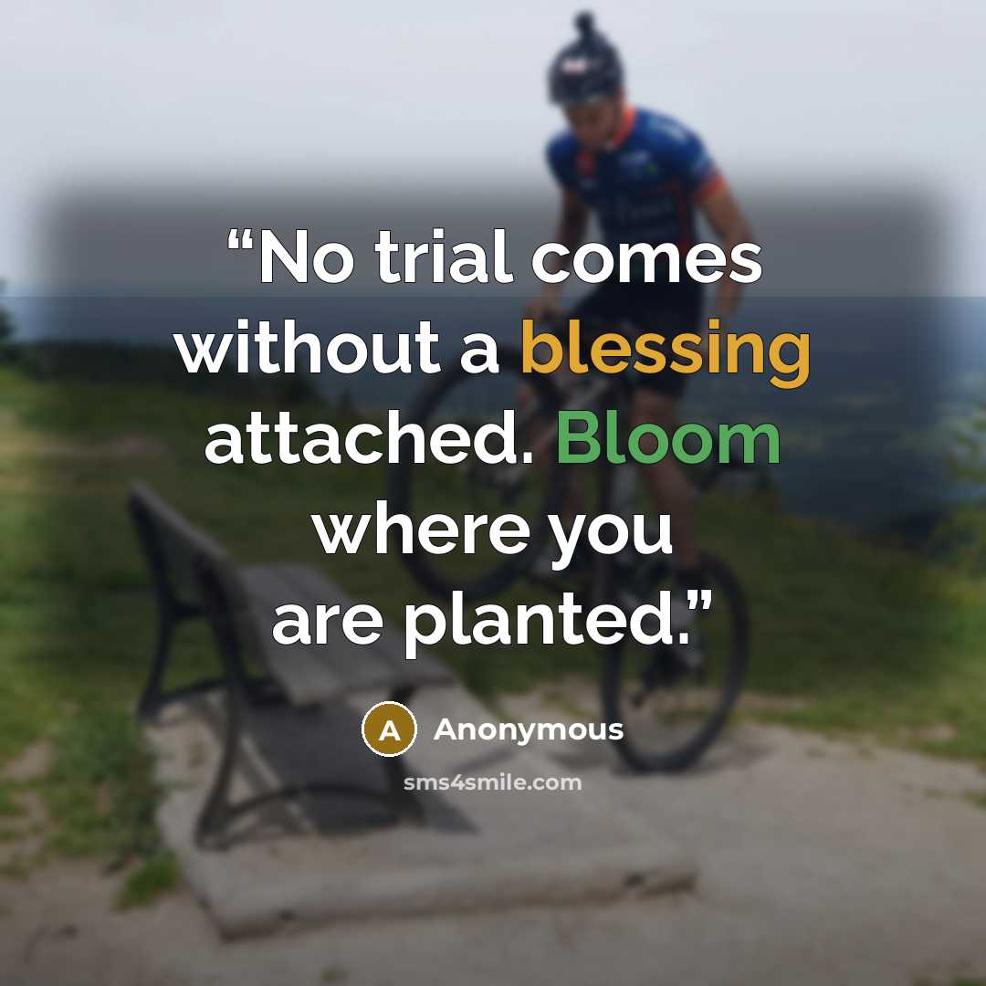 “No trial comes without a blessing attached. Bloom where you are planted.” quote by Anonymous