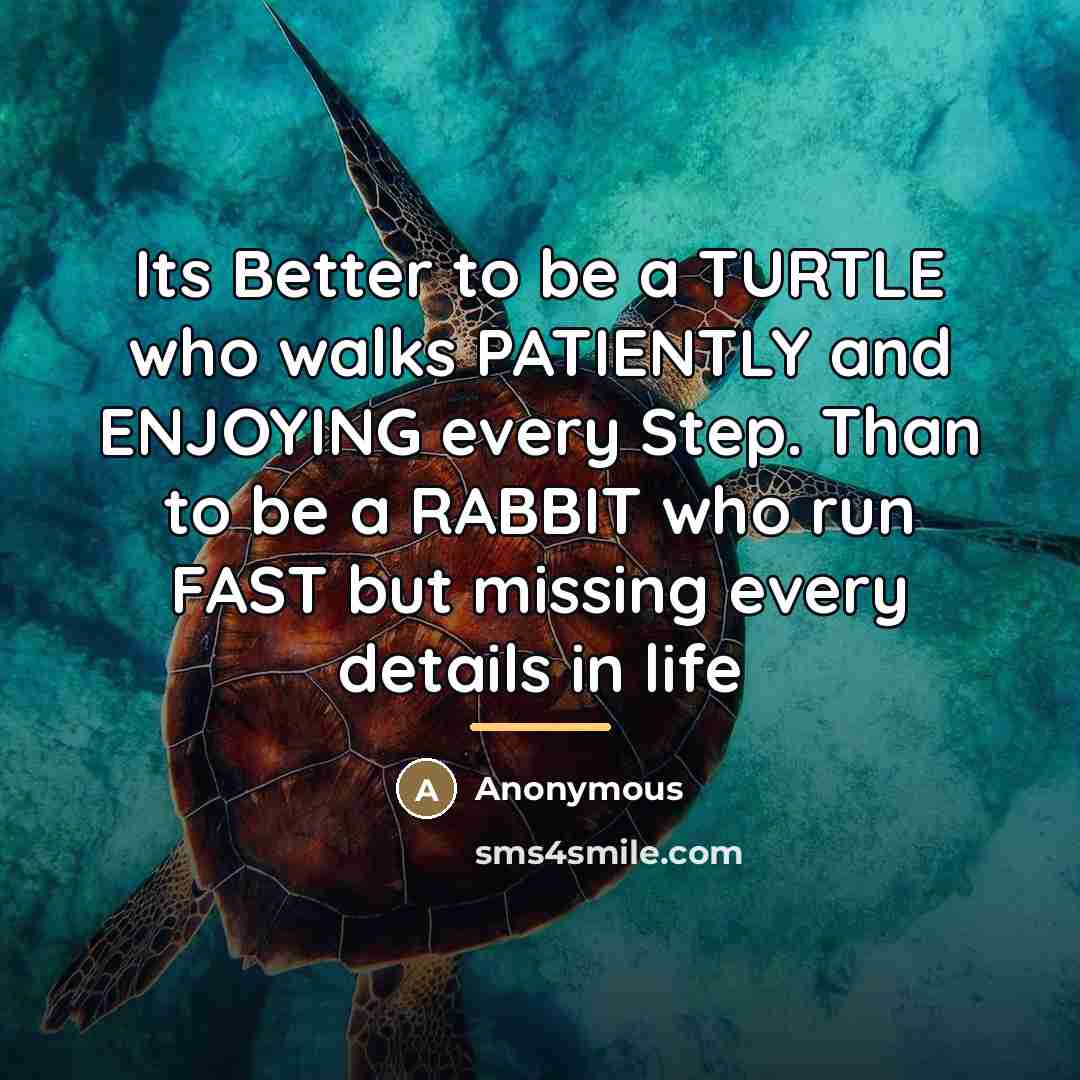 “Its Better to be a TURTLE who walks PATIENTLY and…” quote by Anonymous