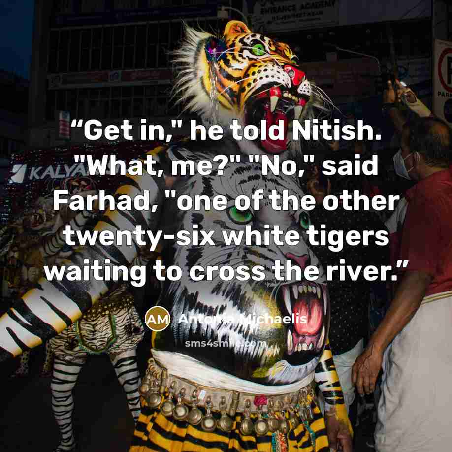 “Get in," he told Nitish. "What, me?" "No," said Farhad, "one of the other twenty-six white tigers waiting to cross the river.” quote by Antonia Michaelis
