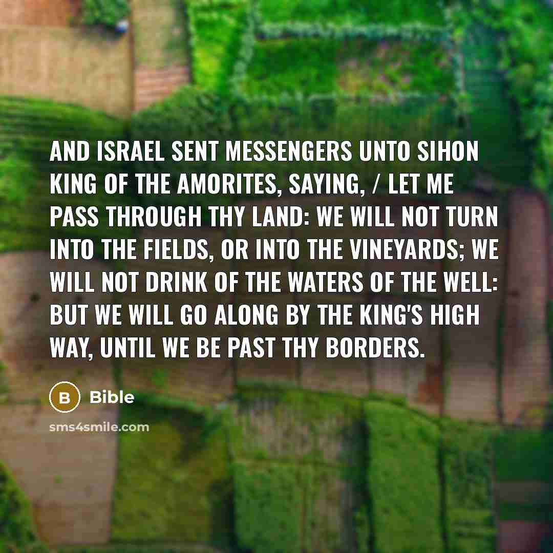 “And Israel sent messengers unto Sihon king of the Amorites,…” quote by Bible