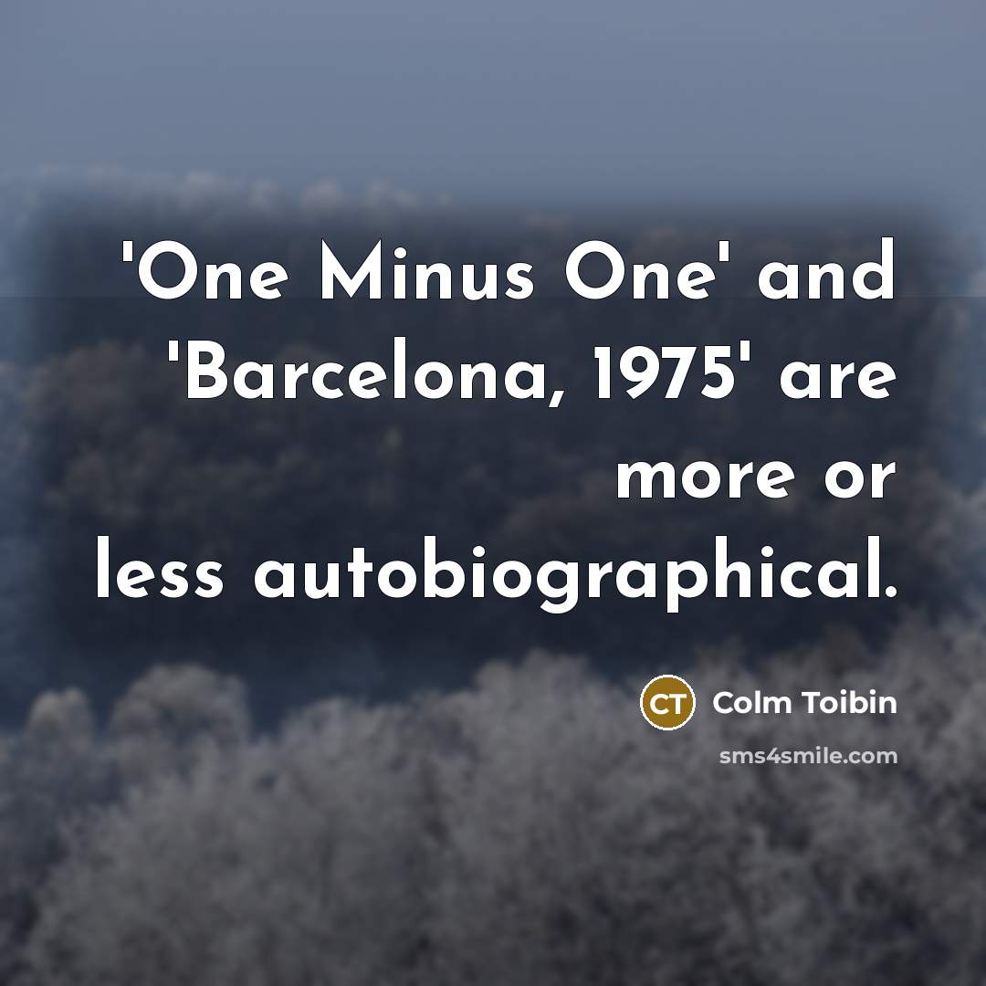 “'One Minus One' and 'Barcelona, 1975' are more or less…” quote by Colm Toibin