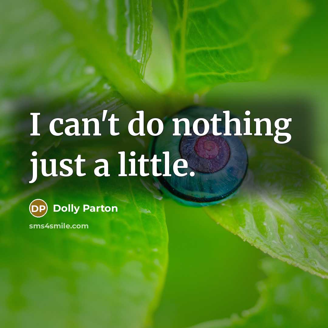 “I can't do nothing just a little.…” quote by Dolly Parton