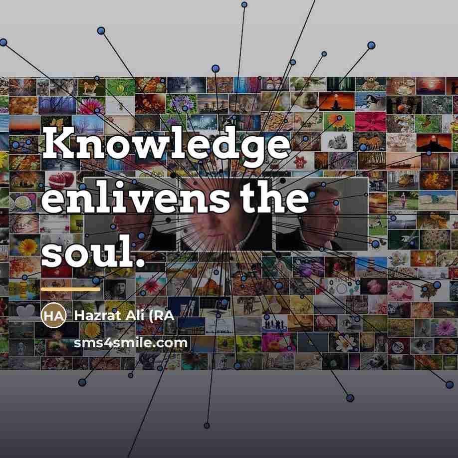 “Knowledge enlivens the soul.…” quote by Hazrat Ali (RA
