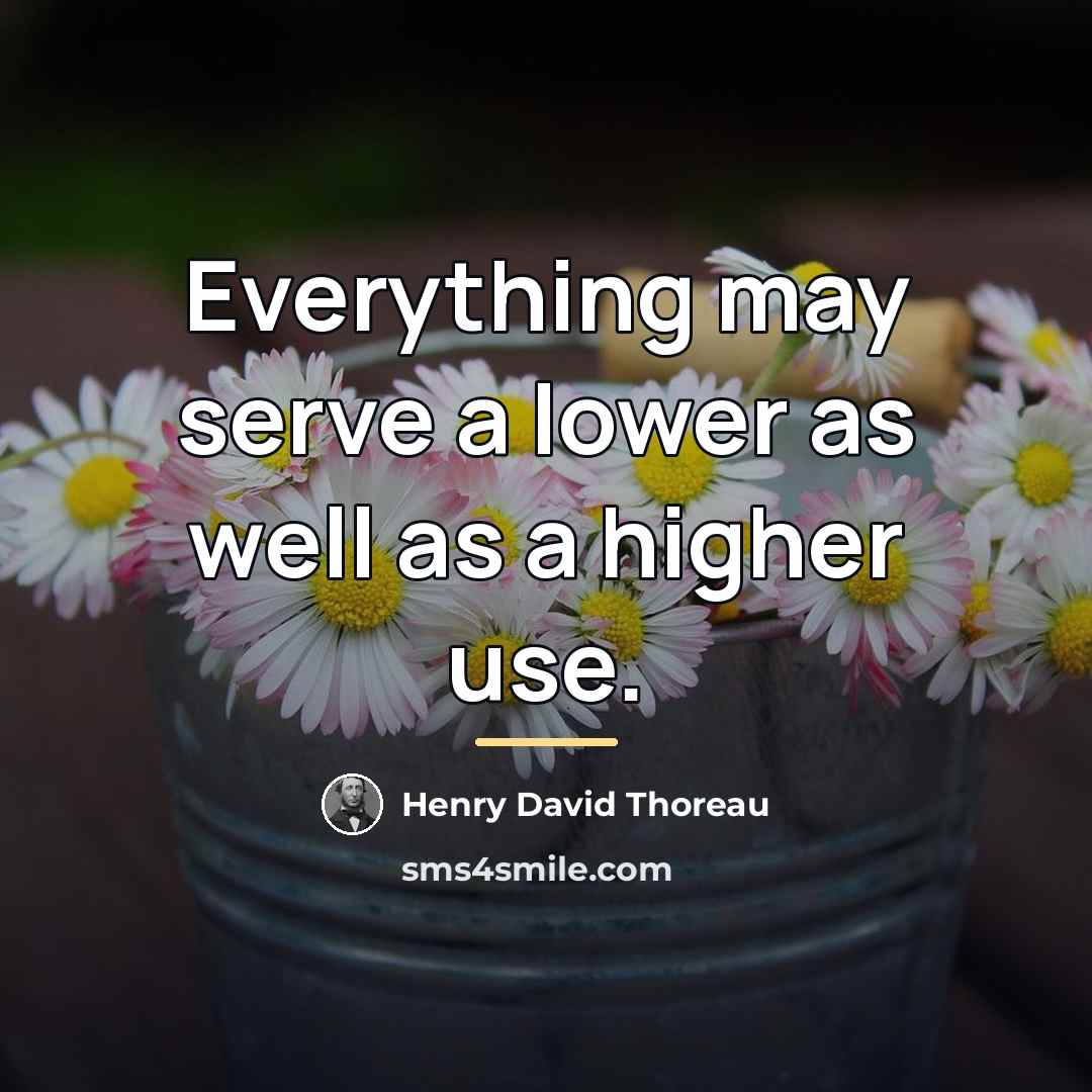 “Everything may serve a lower as well as a higher…” quote by Henry David Thoreau