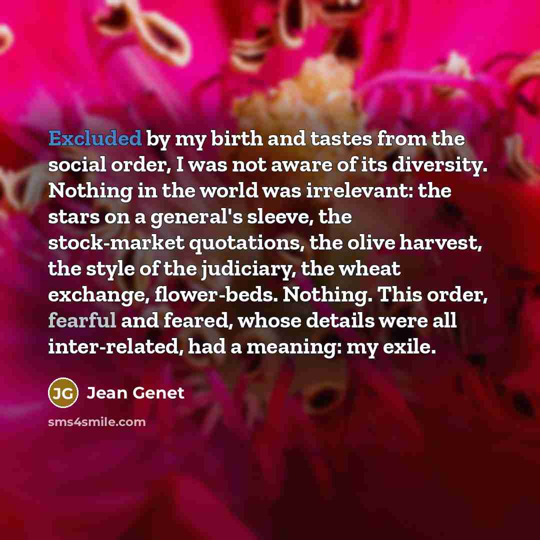 “Excluded by my birth and tastes from the social order,…” quote by Jean Genet