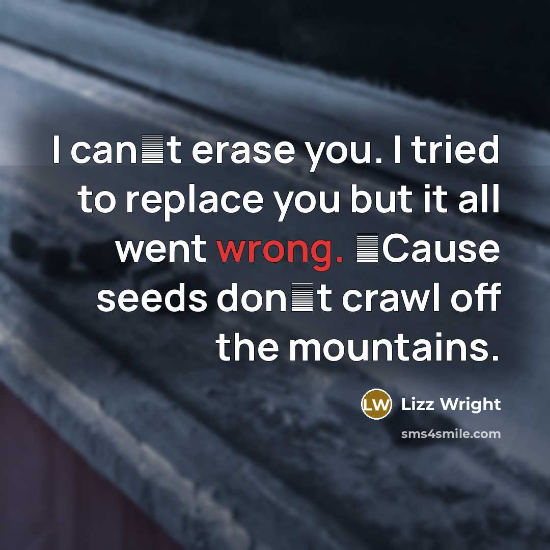 “I can�t erase you. I tried to replace you but…” quote by Lizz Wright