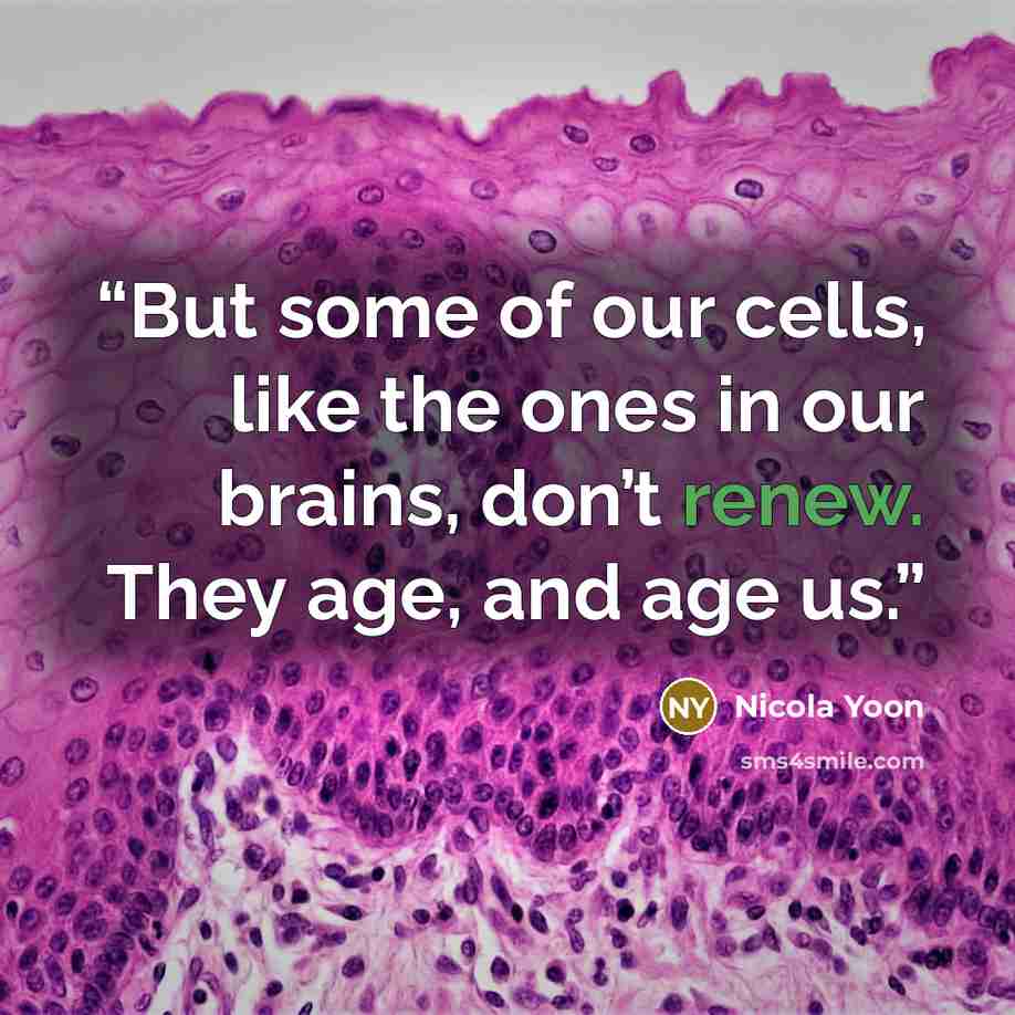 “But some of our cells, like the ones in our brains, don’t renew. They age, and age us.” quote by Nicola Yoon