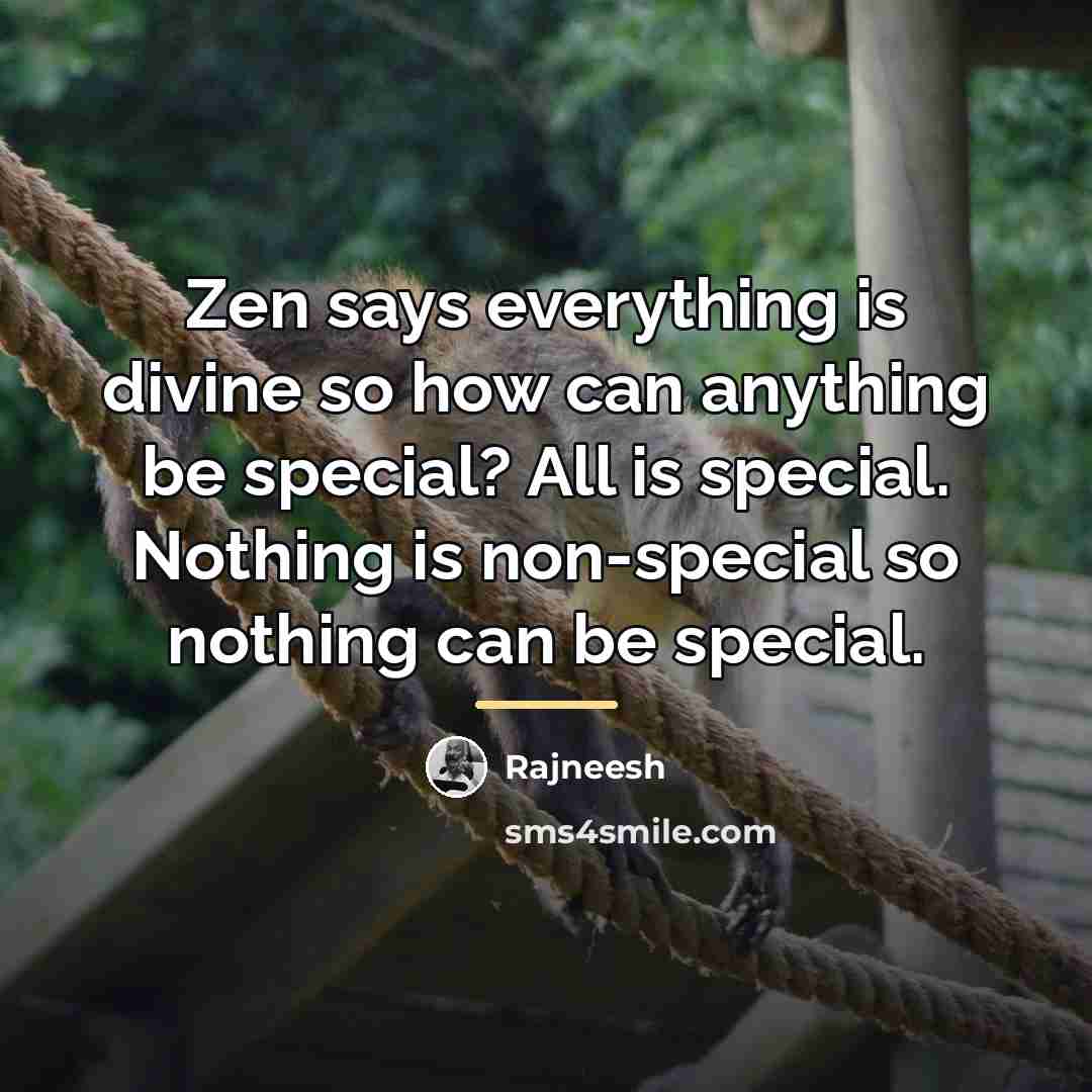 “Zen says everything is divine so how can anything be…” quote by Rajneesh