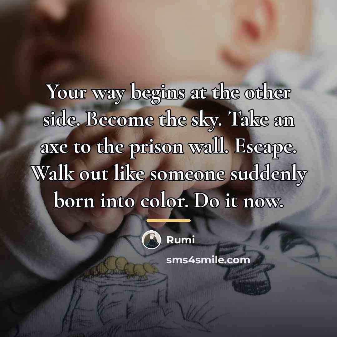 “Your way begins at the other side. Become the sky.…” quote by Rumi