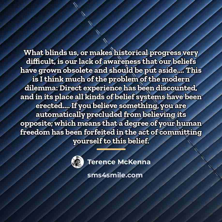 “What blinds us, or makes historical progress very difficult, is…” quote by Terence McKenna