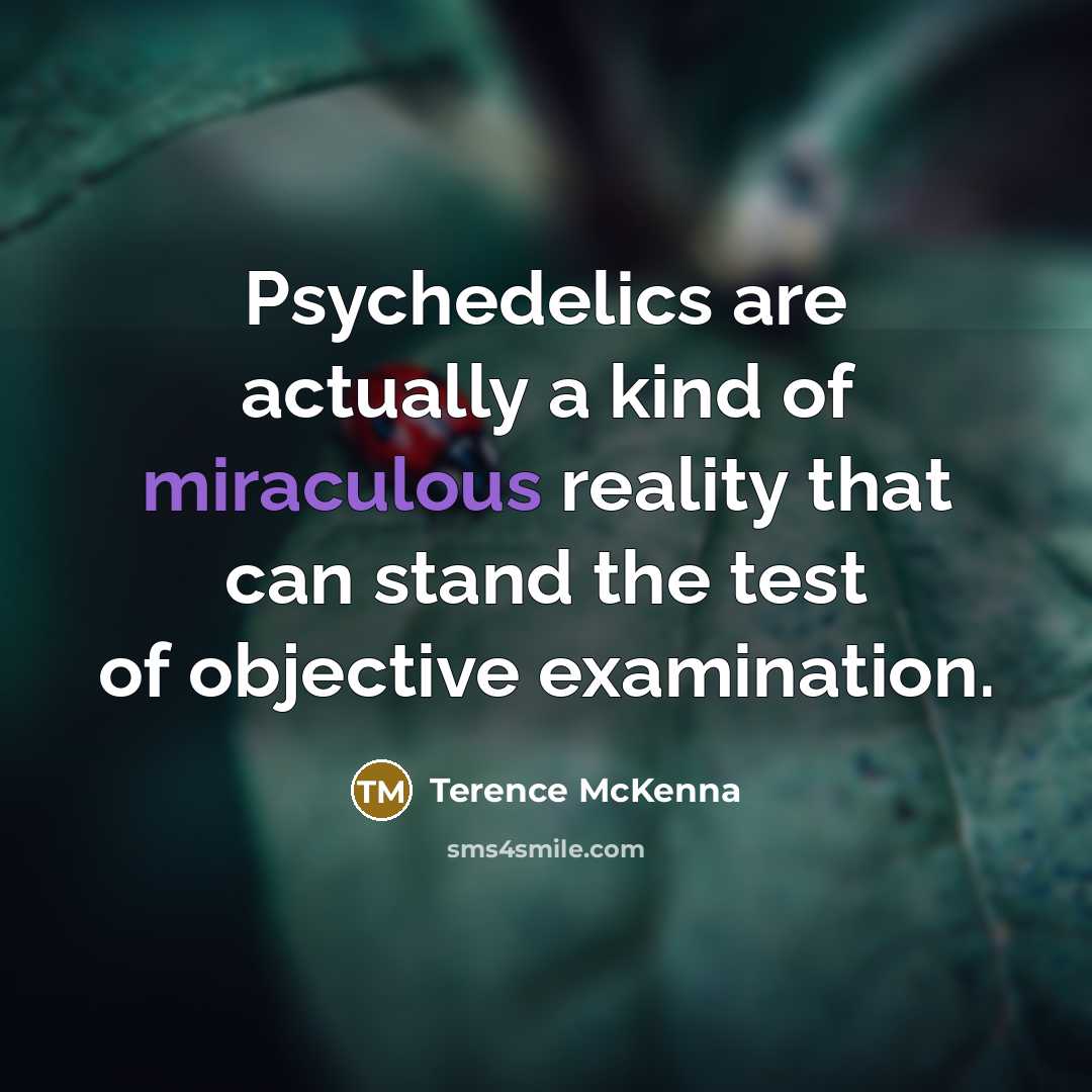 “Psychedelics are actually a kind of miraculous reality that can…” quote by Terence McKenna