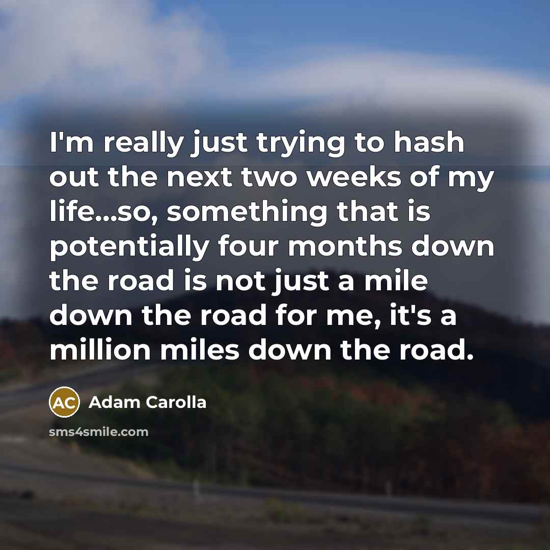 “I'm really just trying to hash out the next two…” quote by Adam Carolla