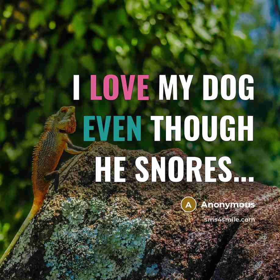“I love my dog even though he snores...” quote by Anonymous