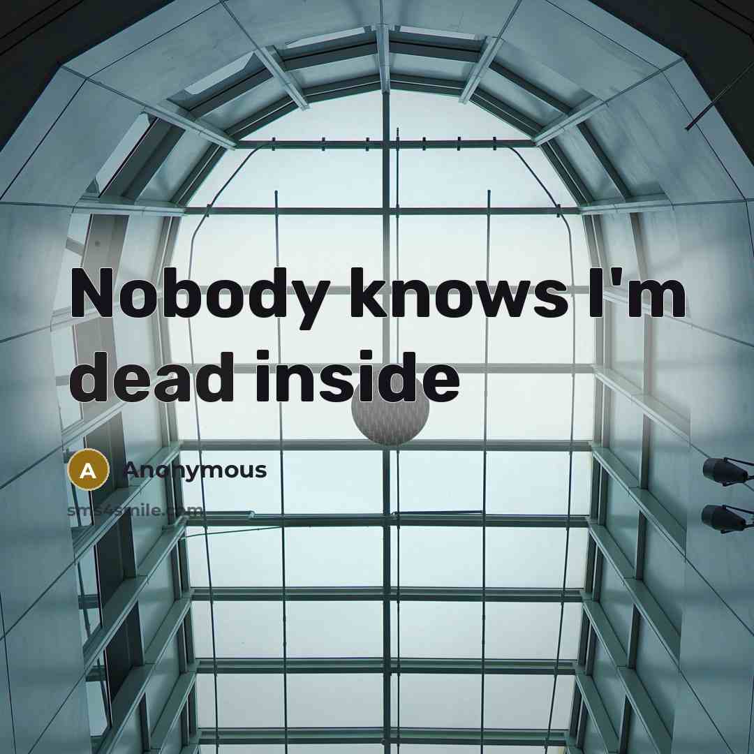 “Nobody knows I'm dead inside” quote by Anonymous