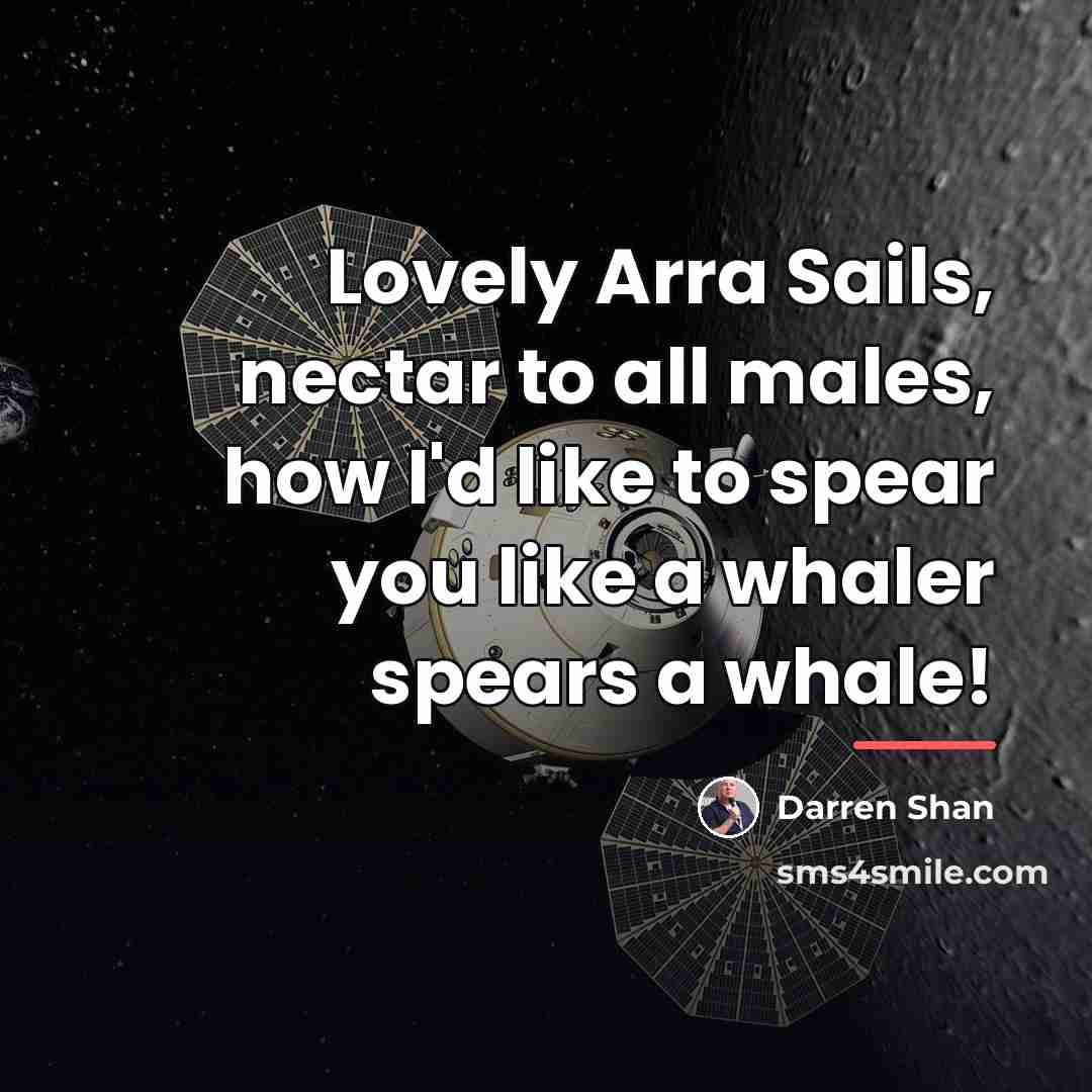 “Lovely Arra Sails, nectar to all males, how I'd like…” quote by Darren Shan