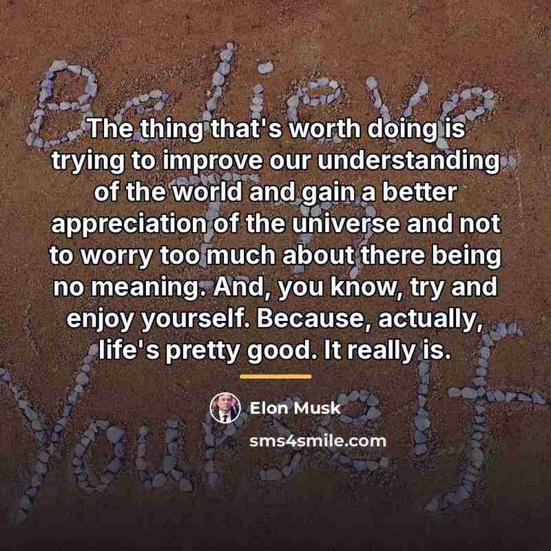 “The thing that's worth doing is trying to improve our…” quote by Elon Musk