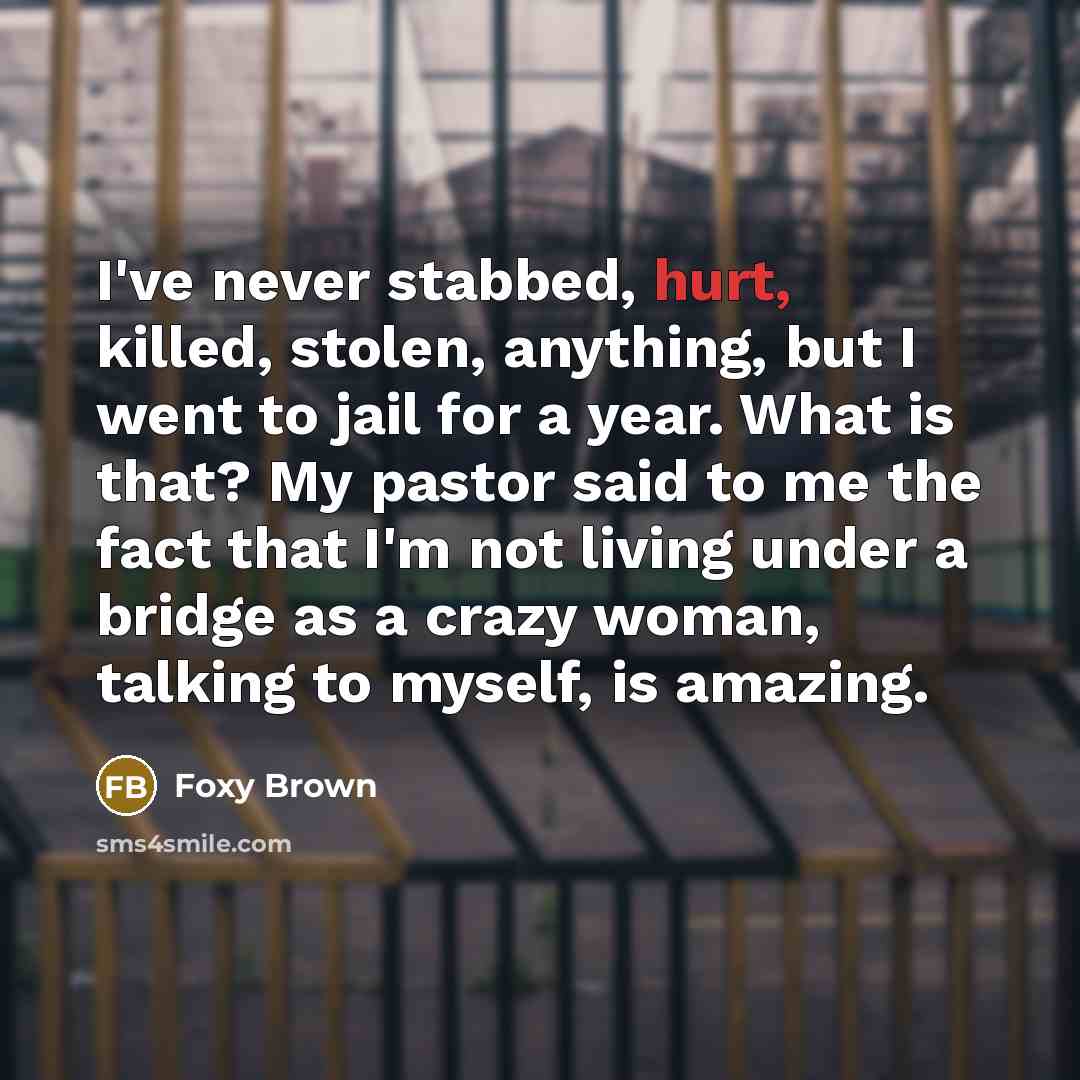 “I've never stabbed, hurt, killed, stolen, anything, but I went…” quote by Foxy Brown